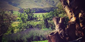 Sir Robert Stanford Estate